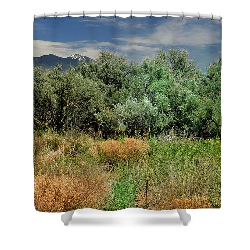 Landscape Shower Curtain featuring the photograph Out On The Mesa 1 by Ron Cline