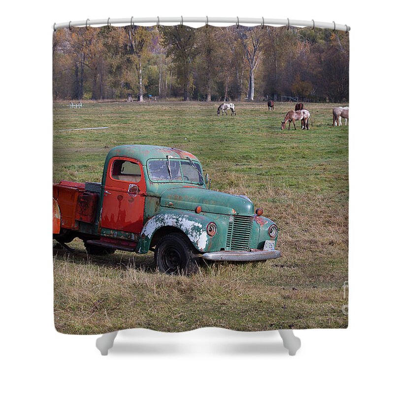 Eastern Oregon Shower Curtain featuring the photograph Out to Pasture by Idaho Scenic Images Linda Lantzy