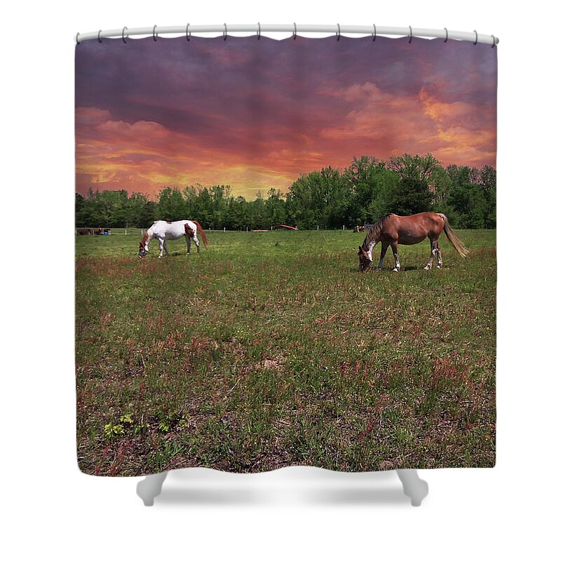 Pasture Shower Curtain featuring the mixed media Out to Pasture by Lisa Stanley