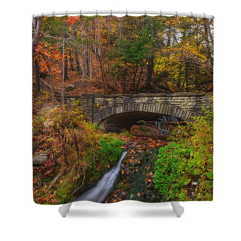 Letchworth State Park Shower Curtain featuring the photograph Over The Stream by Mark Papke