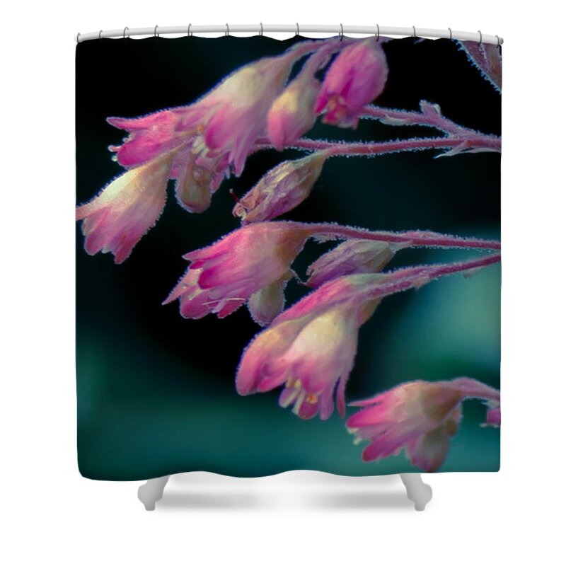 Flower Shower Curtain featuring the photograph Over You by Kristin Hunt
