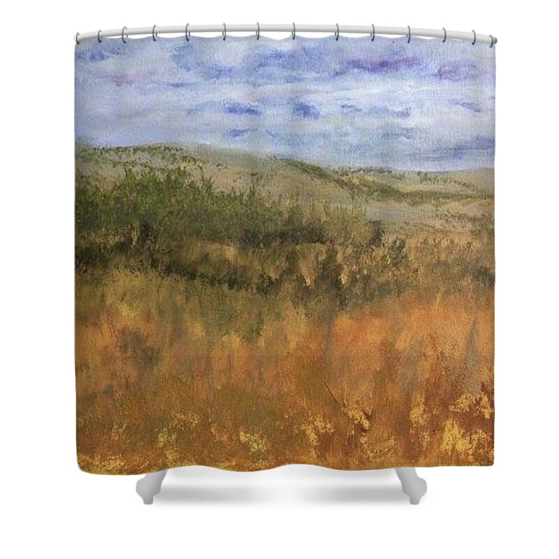 Overlook Shower Curtain featuring the painting Overlook on Sawbill Trail by Joi Electa