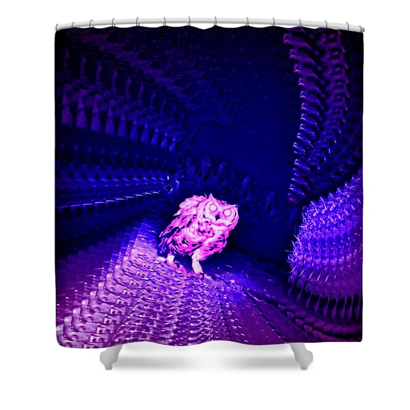 After Dark Shower Curtain featuring the photograph Owl Encounter by Judy Kennedy