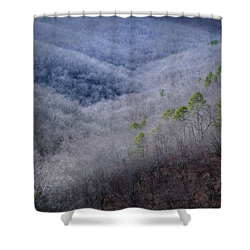 Autumn Shower Curtain featuring the photograph Ozarks Trees #4 by David Chasey