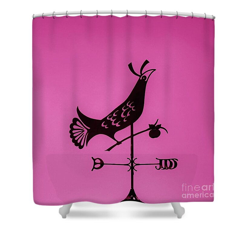 Pa Shower Curtain featuring the photograph Pa Dutch Distelfink - 2 by Bob Sample