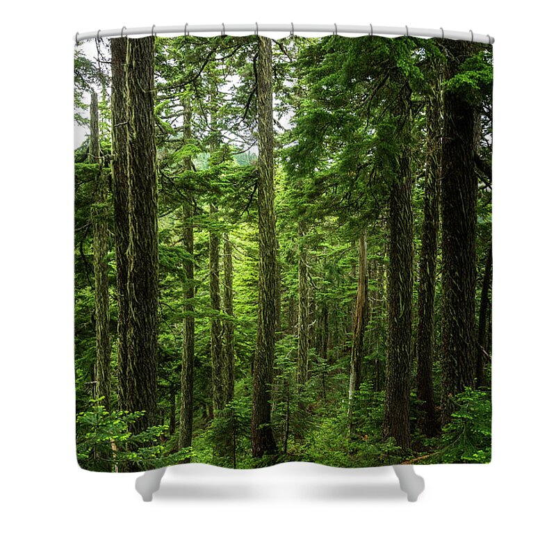 Scenic Shower Curtain featuring the photograph Pacific Northwest Forest by Pelo Blanco Photo