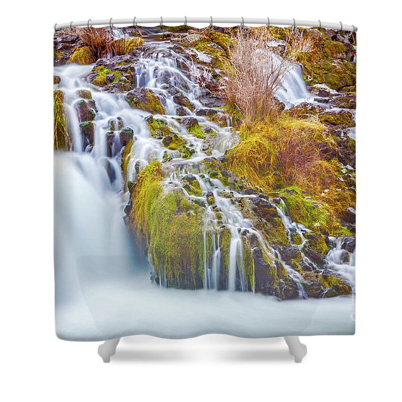 Pacific Northwest Shower Curtain featuring the photograph Pacific Northwest by David Millenheft