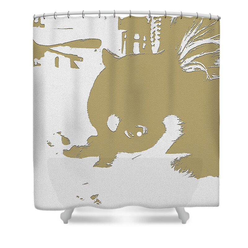 Dog Shower Curtain featuring the photograph Cutie by Roro Rop