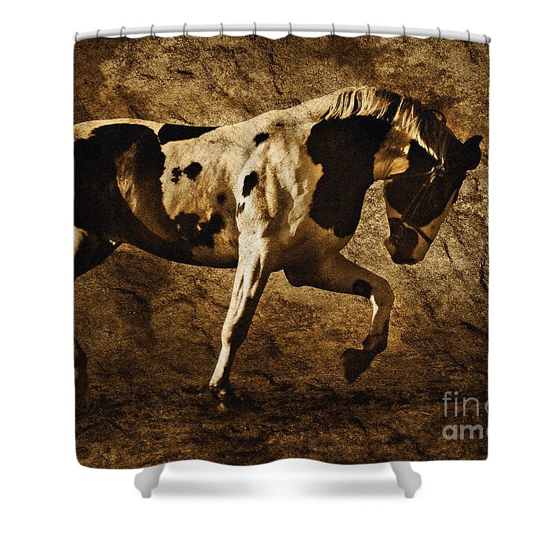 Horse Shower Curtain featuring the photograph Paint horse by Dimitar Hristov