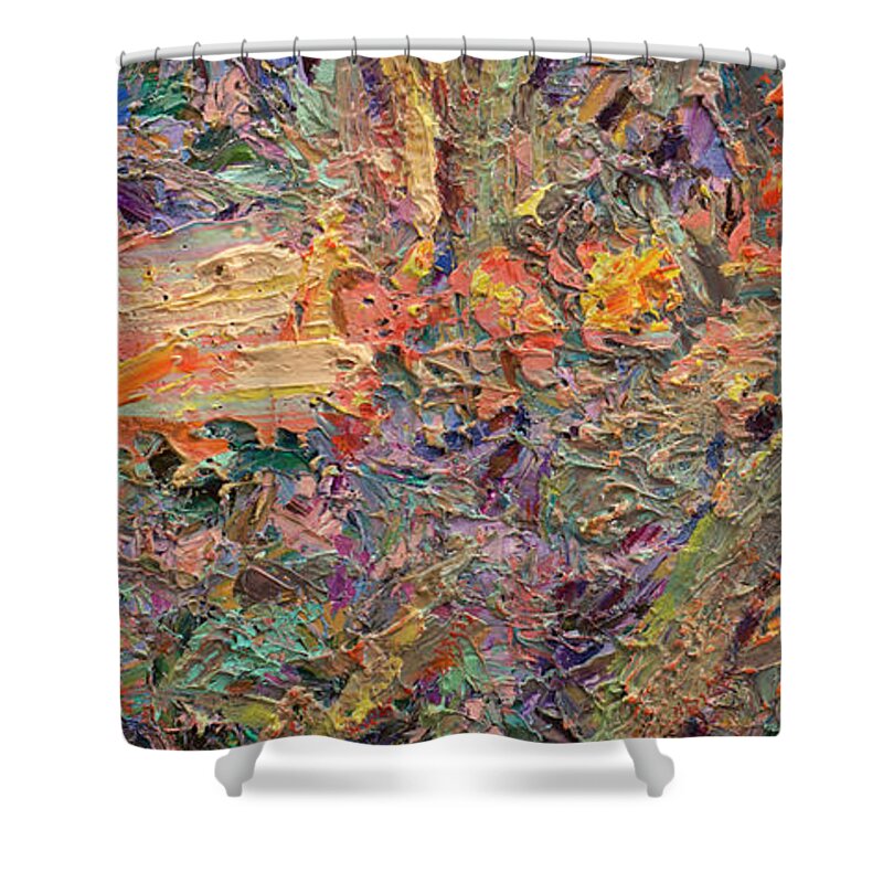 Abstract Shower Curtain featuring the painting Paint number 34 by James W Johnson