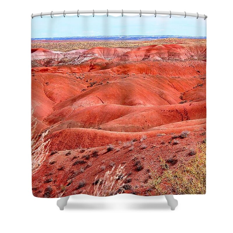 Desert Shower Curtain featuring the photograph Painted Desert - Arizona by Barbara Zahno