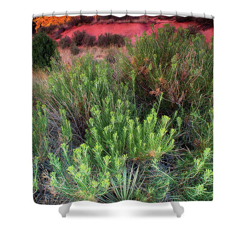 Front Range Shower Curtain featuring the photograph Painted Hills by John De Bord