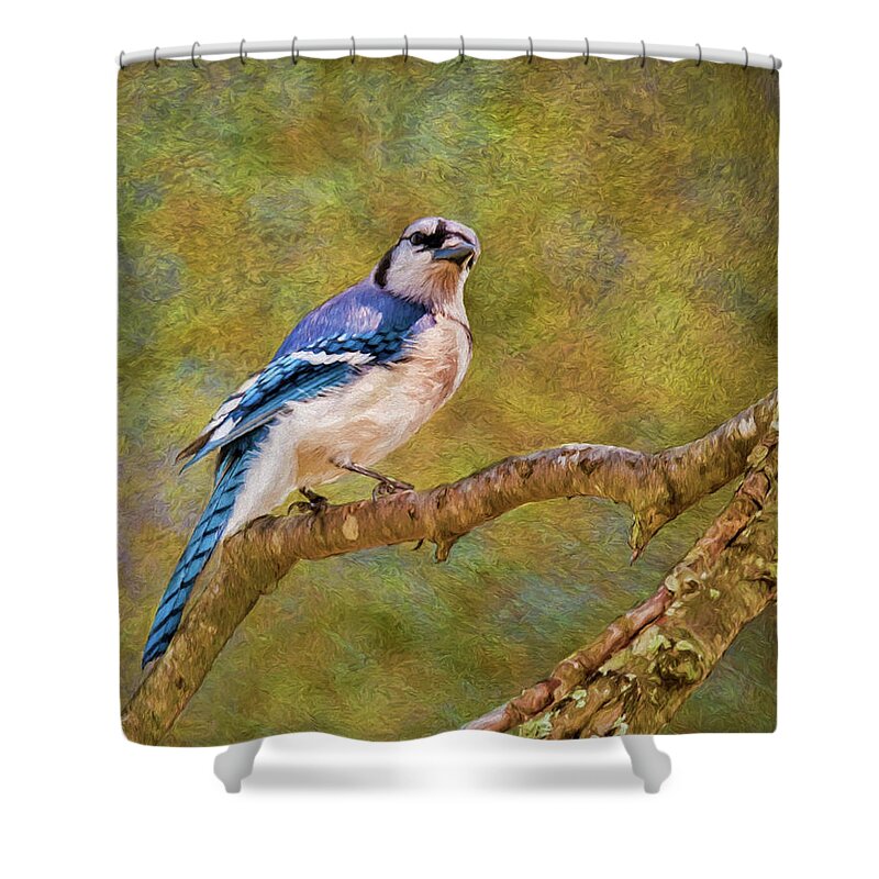 Songbird Shower Curtain featuring the photograph Painted Jay by Cathy Kovarik