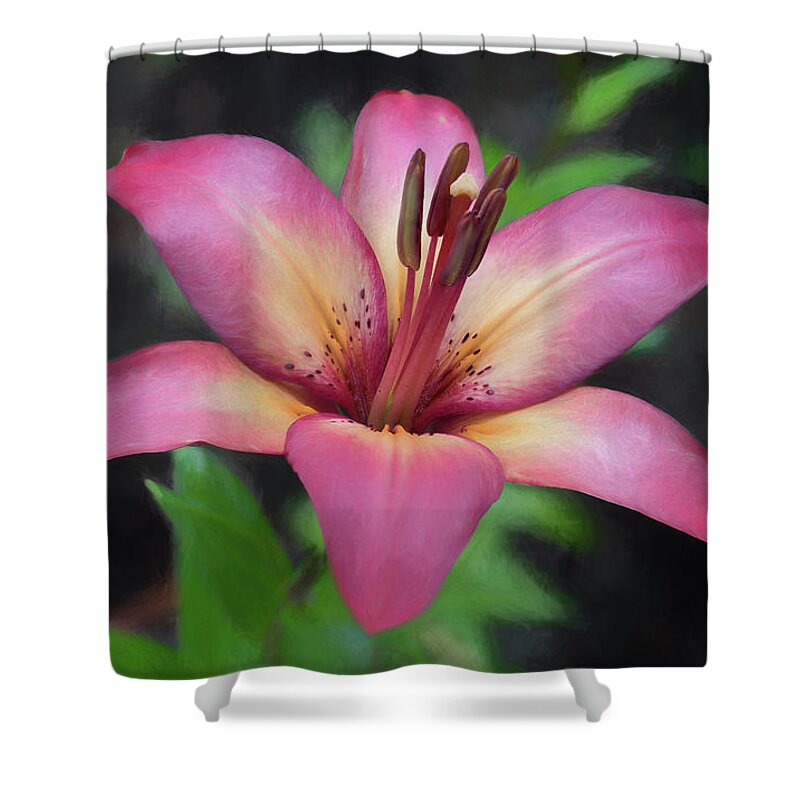 Lily Shower Curtain featuring the photograph Painted Lily by Harold Coleman