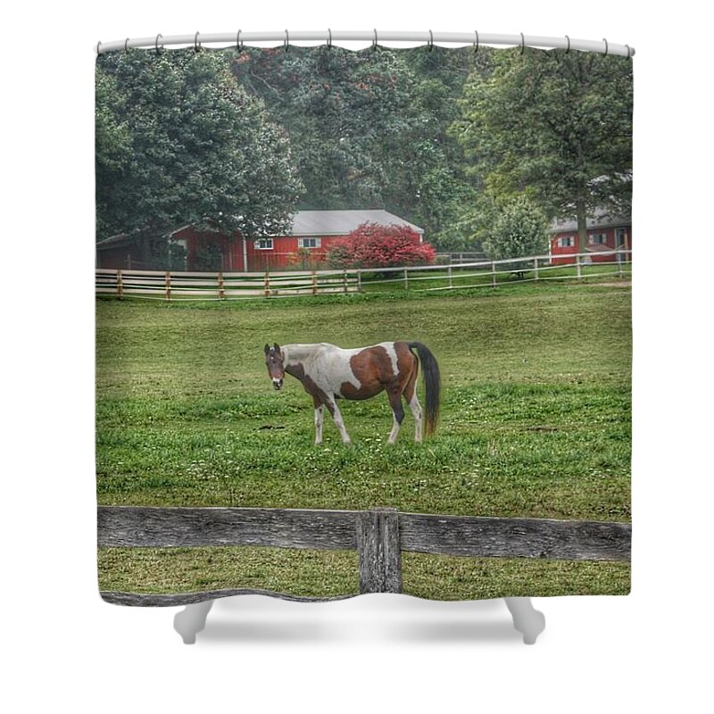 Horses Shower Curtain featuring the photograph 1005 - Painted Pony in Pasture by Sheryl L Sutter