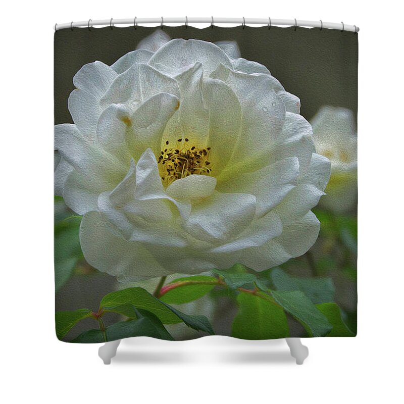 Intense Shower Curtain featuring the photograph Painted Spring Camilia by Skip Willits