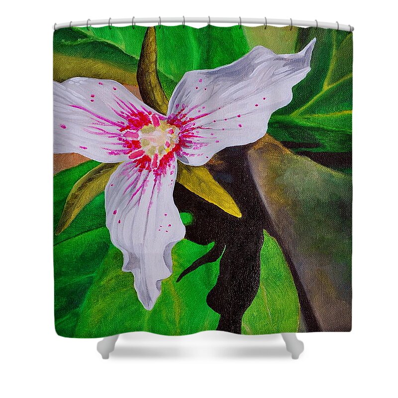 Flowers Shower Curtain featuring the painting Painted Trillium by Harry Moulton