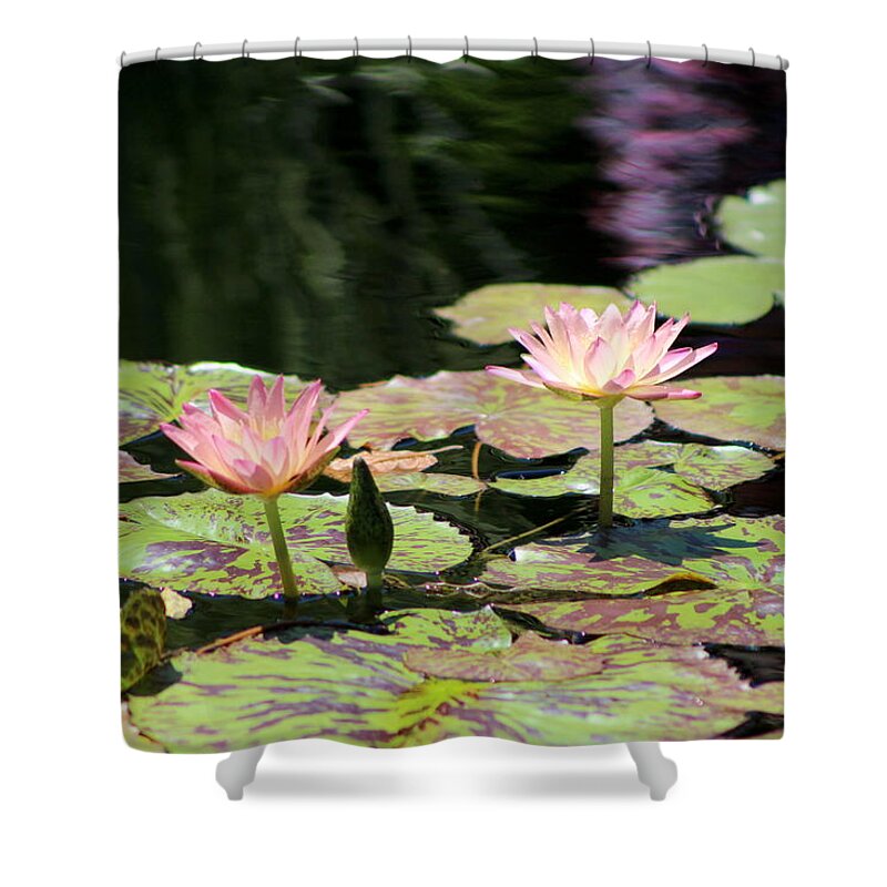 Painted Waters Shower Curtain featuring the photograph Painted Waters - Lilypond by Colleen Cornelius