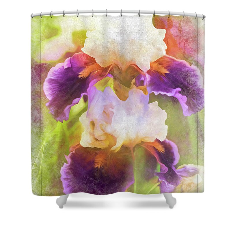 Iris Shower Curtain featuring the photograph Painterly Bearded Iris by Eleanor Abramson