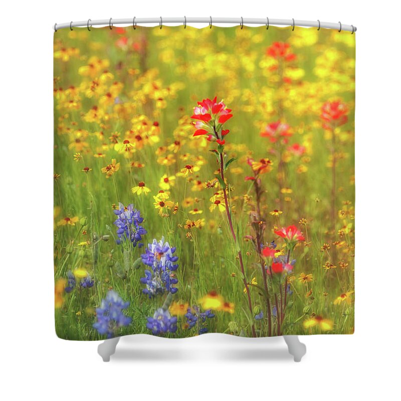Owed To Nature Shower Curtain featuring the photograph Painting Roadsides for Spring by Sylvia J Zarco