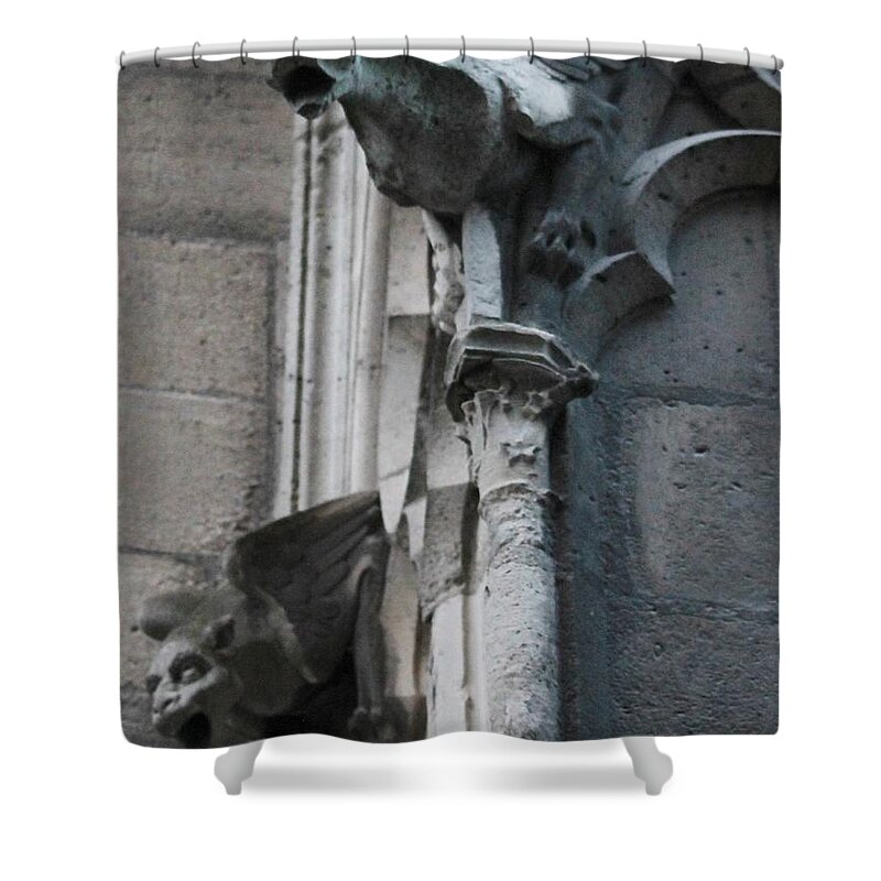 Notre Dame Cathedral Shower Curtain featuring the photograph Pair of Griffons of Notre Dame by Christopher J Kirby