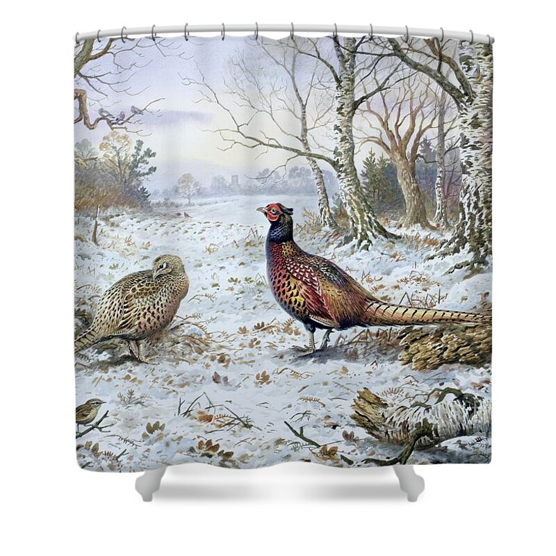 Game Bird; Snow; Woodland; Perdrix; Faisan; Troglodyte; Pheasant; Pheasants; Tree; Trees; Bird; Animals Shower Curtain featuring the painting Pair of Pheasants with a Wren by Carl Donner