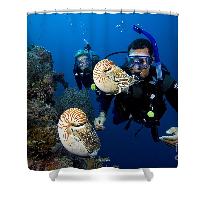 Adventure Shower Curtain featuring the photograph Palau Underwater by Dave Fleetham - Printscapes