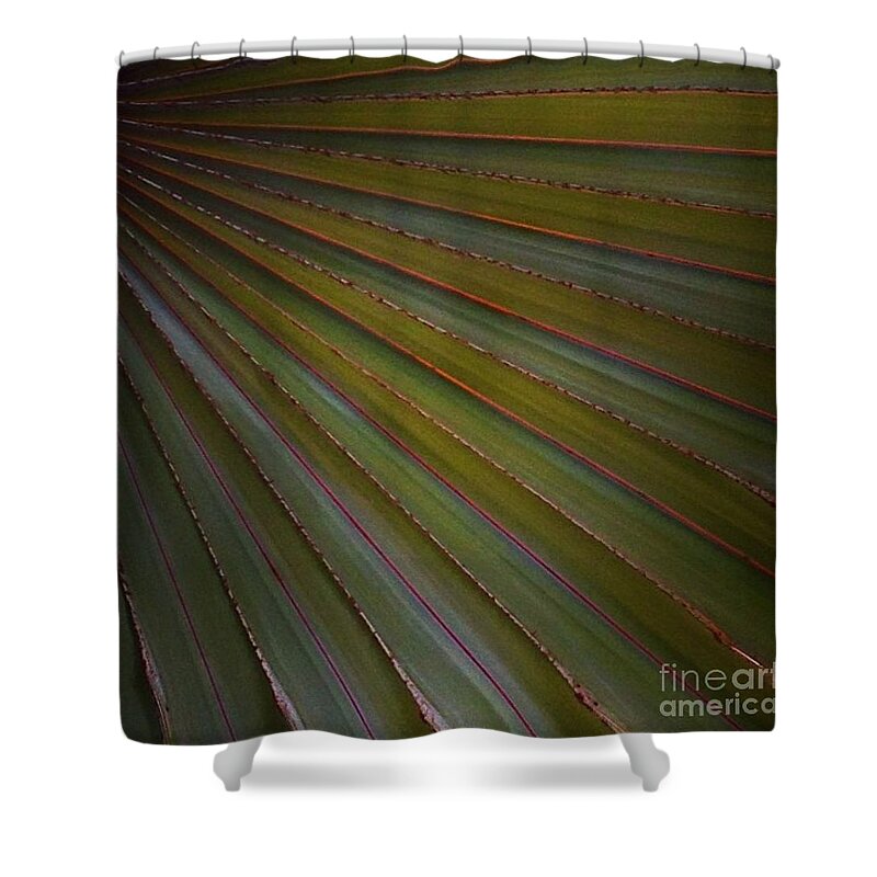 Palm Shower Curtain featuring the photograph Palm by Denise Railey