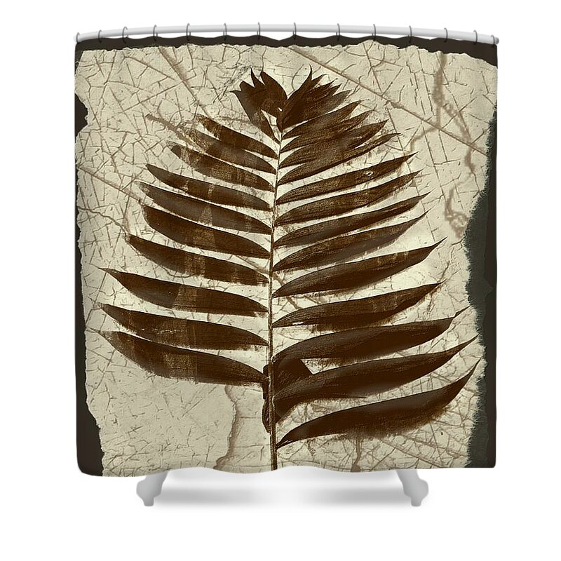 Photograph Shower Curtain featuring the digital art Palm Fossil Sandstone by Delynn Addams