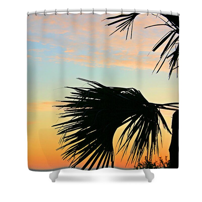 Beach Shower Curtain featuring the photograph Palm Silhouette by Kristin Elmquist