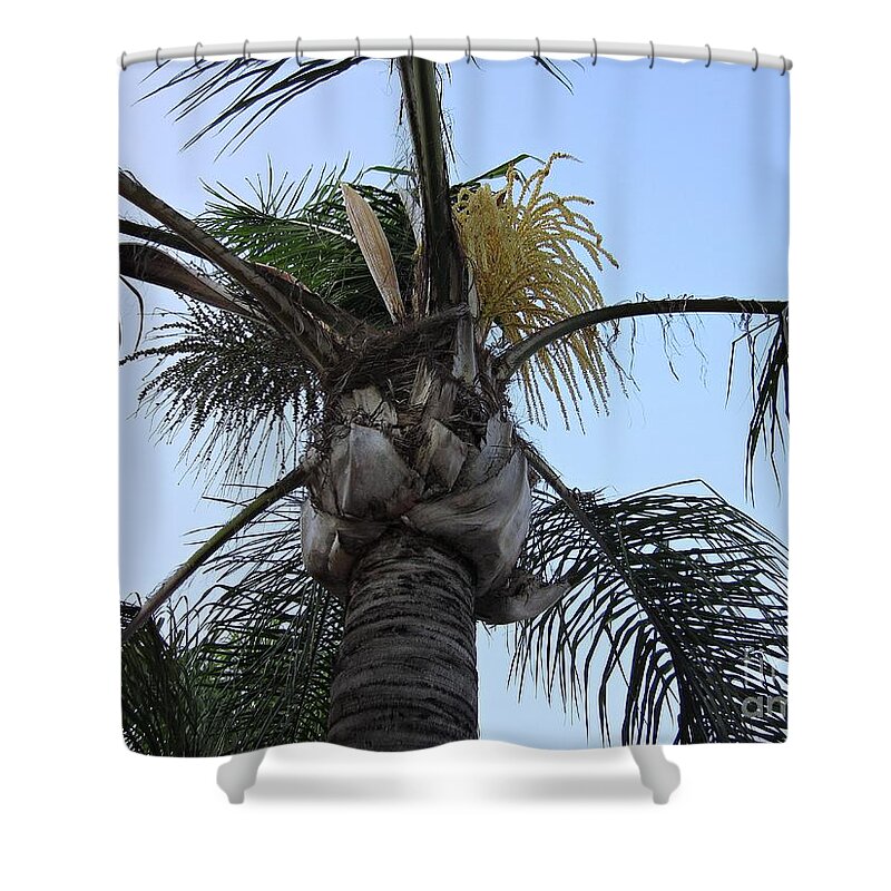 Torremolinos Shower Curtain featuring the photograph Palm tree in Torremolinos by Chani Demuijlder