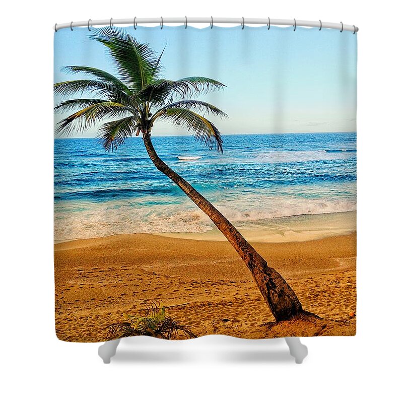 Palm Shower Curtain featuring the photograph Palm Tree by Joseph Caban