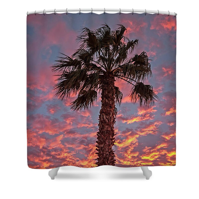 Sunrise Shower Curtain featuring the photograph Palm Tree Sunset by Robert Bales