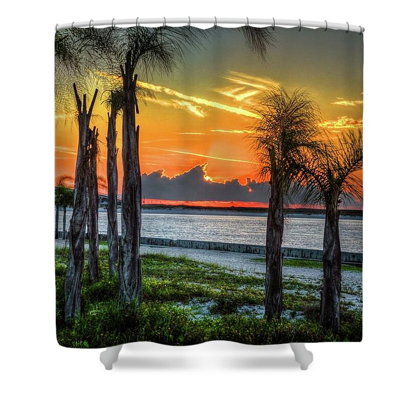 Alabama Shower Curtain featuring the photograph Palm Trees at Perdido Pass by Michael Thomas