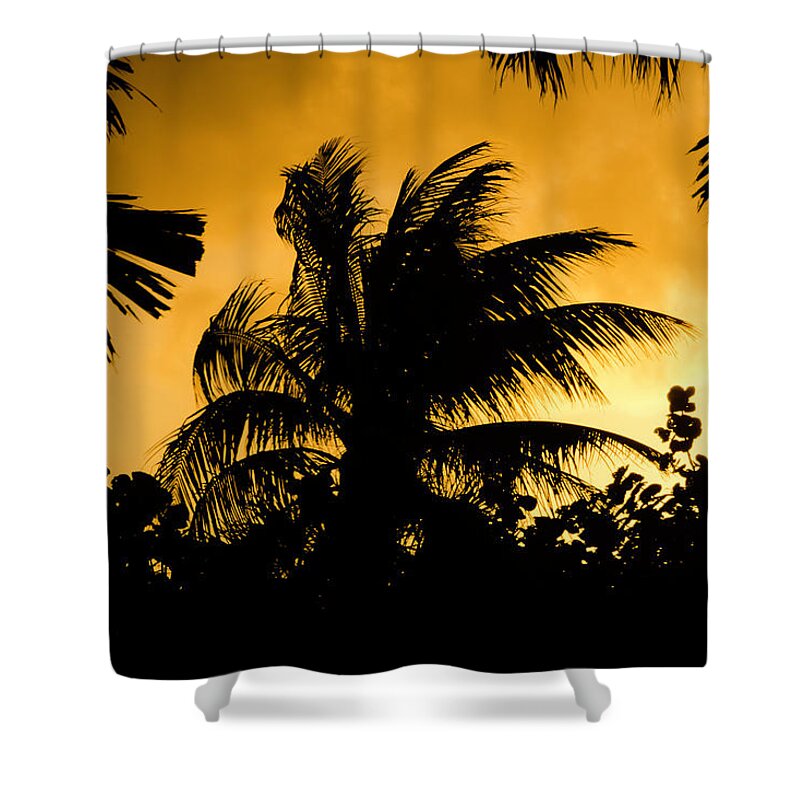 Sunset Shower Curtain featuring the photograph Palm trees in sunset by Wolfgang Stocker