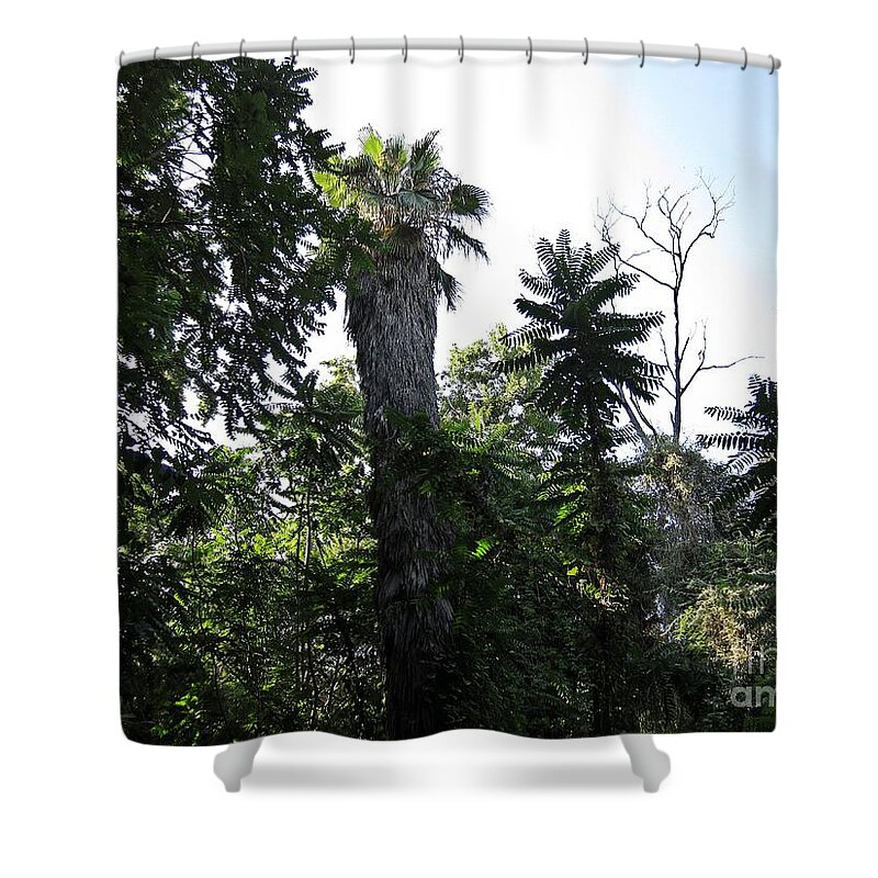 Torremolinos Shower Curtain featuring the photograph Palm trees and wilderness in Torremolinos by Chani Demuijlder