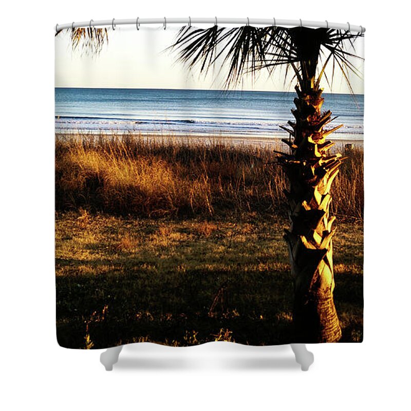 Palm Trees Shower Curtain featuring the photograph Palm Triangle by Robert Knight