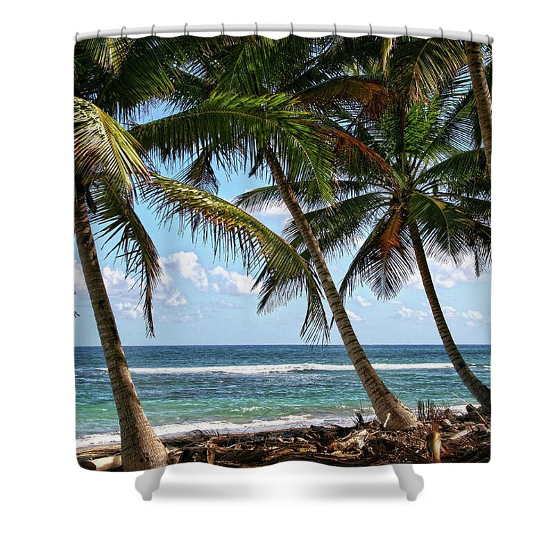  Shower Curtain featuring the photograph Palm Walk by Robert Och