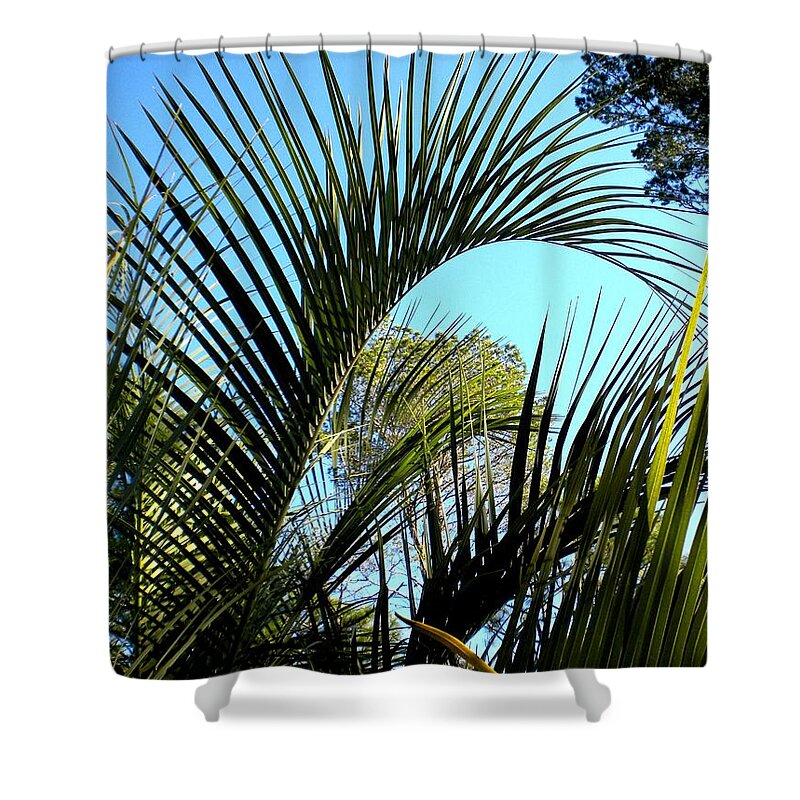 Palms Shower Curtain featuring the painting Palmetto 2 by Renate Wesley