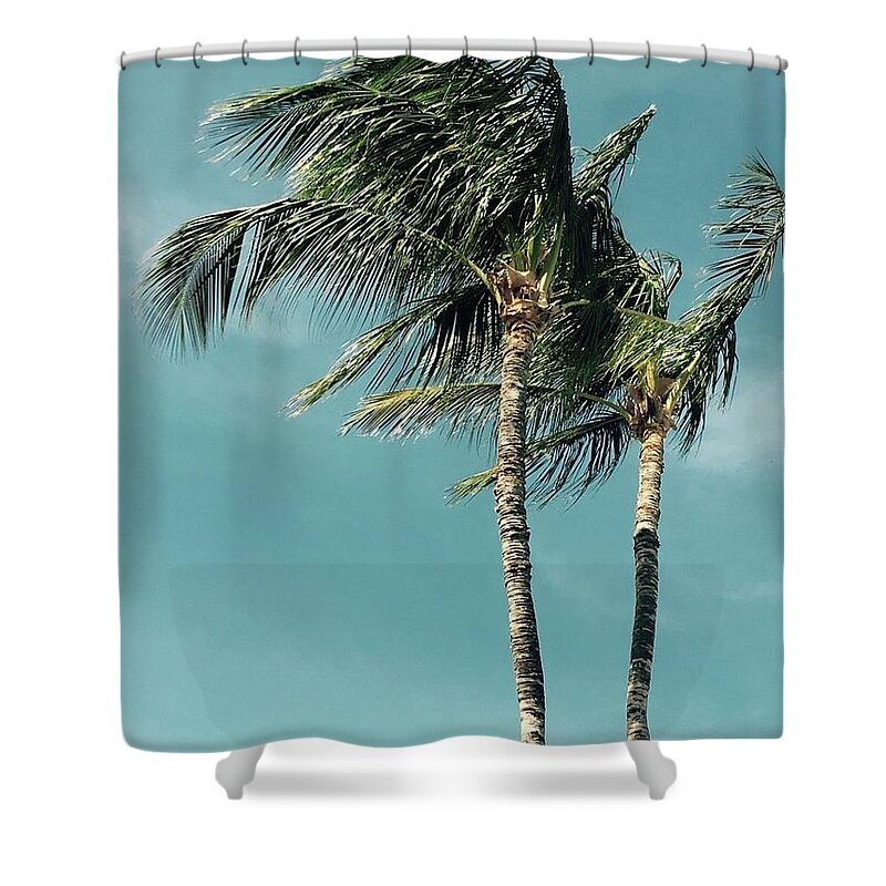 Palms Shower Curtain featuring the photograph Palms in the Wind by Karen Nicholson