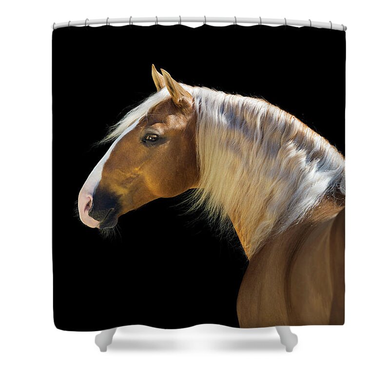 Russian Artists New Wave Shower Curtain featuring the photograph Palomino by Ekaterina Druz