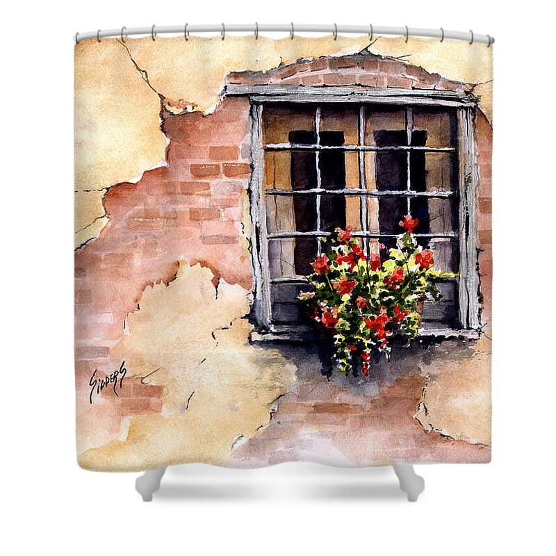 Window Shower Curtain featuring the painting Pampa Window by Sam Sidders