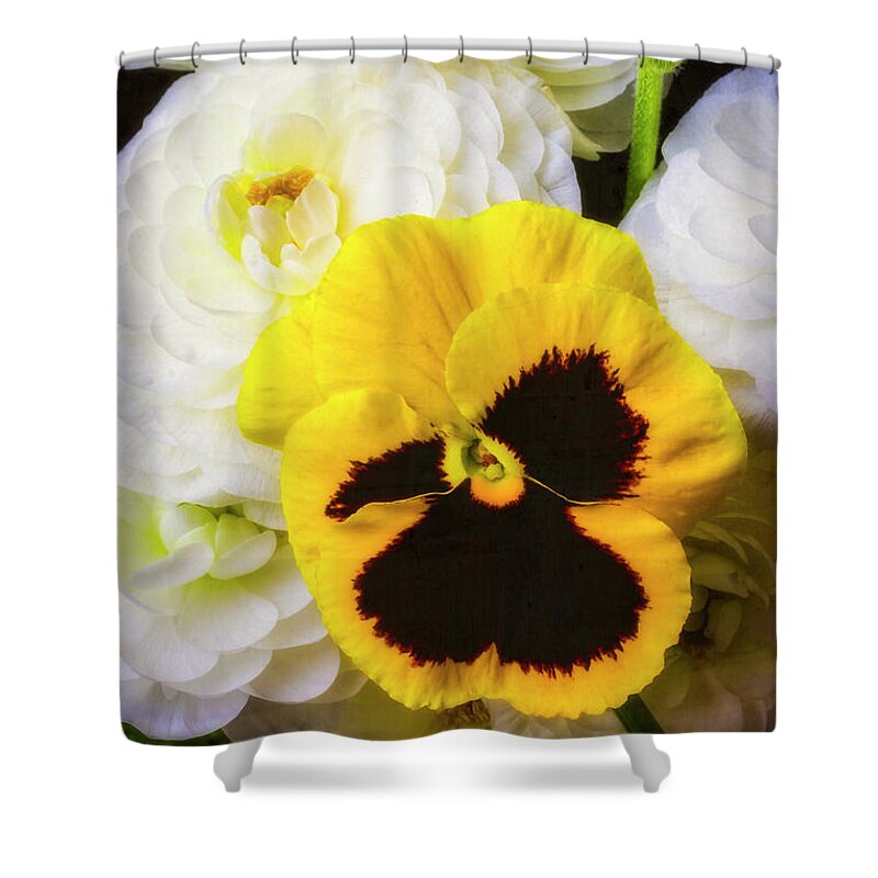 White Ranunculus Shower Curtain featuring the photograph Pansy And Ranunculus by Garry Gay