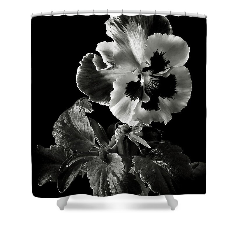 Flower Shower Curtain featuring the photograph Pansy in Black and White by Endre Balogh