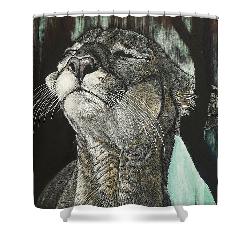 Drawing Shower Curtain featuring the drawing Panther, Cool by William Underwood