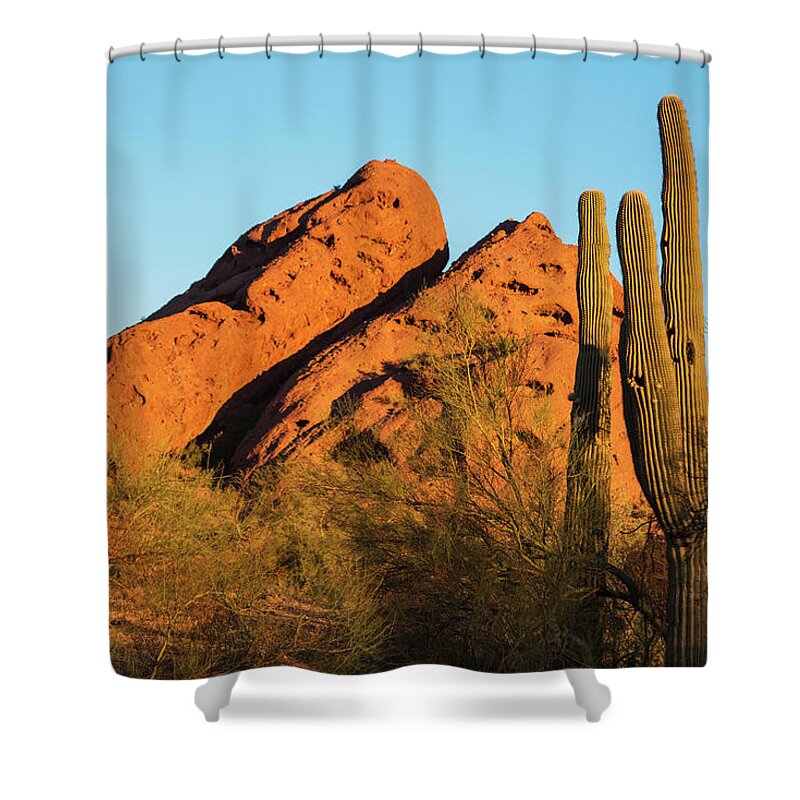 Papago Shower Curtain featuring the photograph Papago Park Mountain at Sunrise Phoenix AZ Cactus by Toby McGuire