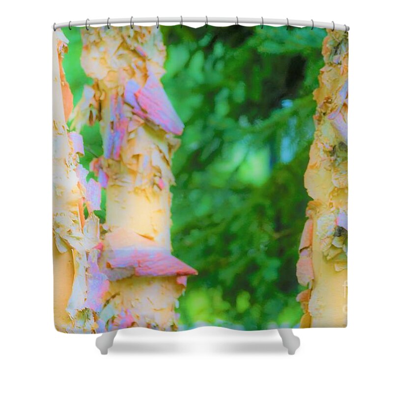 Trees Shower Curtain featuring the photograph Paper thin Bark by Merle Grenz