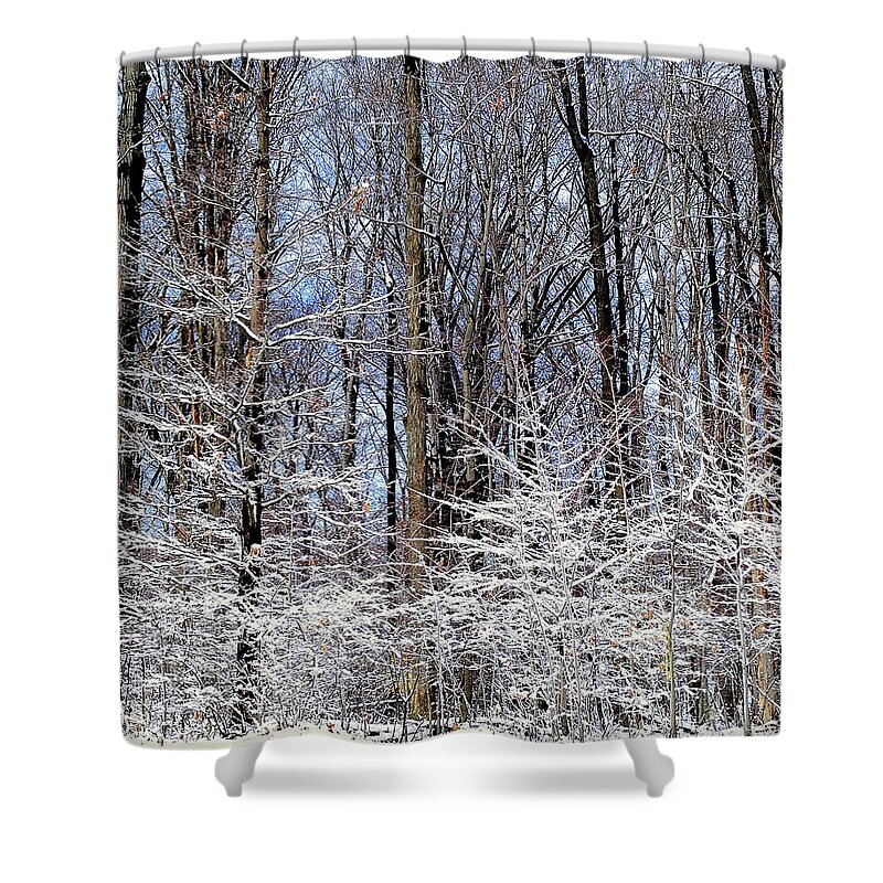 Trees Shower Curtain featuring the photograph Parents with Children by Frozen in Time Fine Art Photography