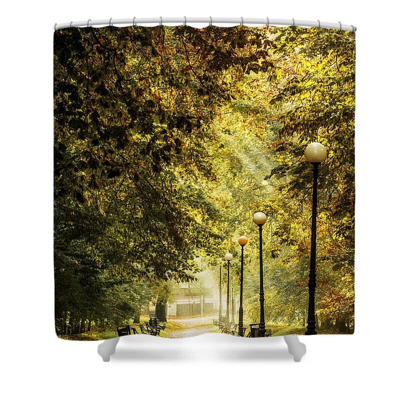 Fall Shower Curtain featuring the photograph Park lane by Jaroslaw Grudzinski
