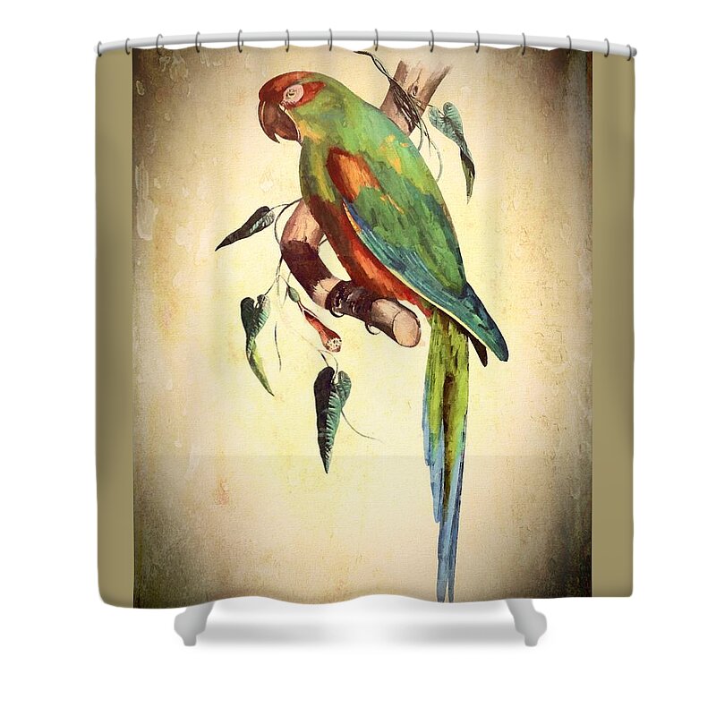 Bird Shower Curtain featuring the mixed media Parrot by Charmaine Zoe